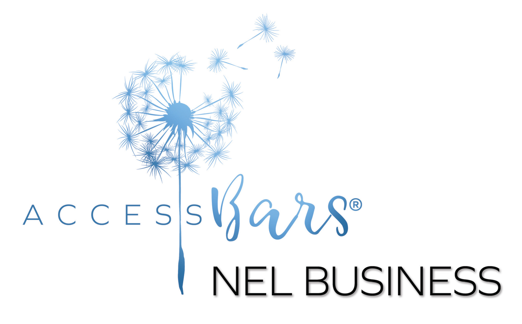 Access Bars nel Business - Elena Fin Access Bars nel Business - Elena Fin