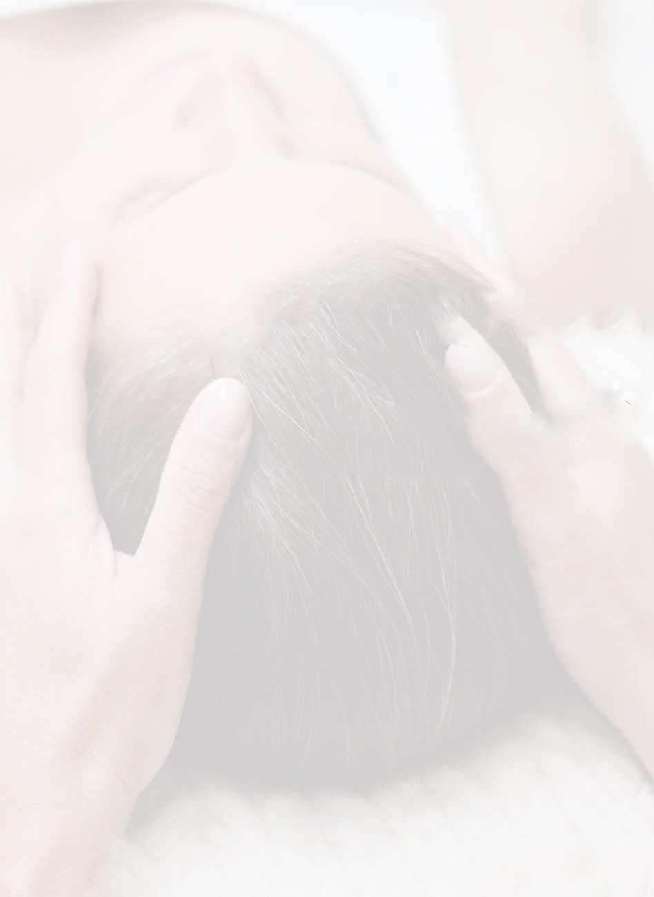 Sessione Access Bars Sessione Access Bars